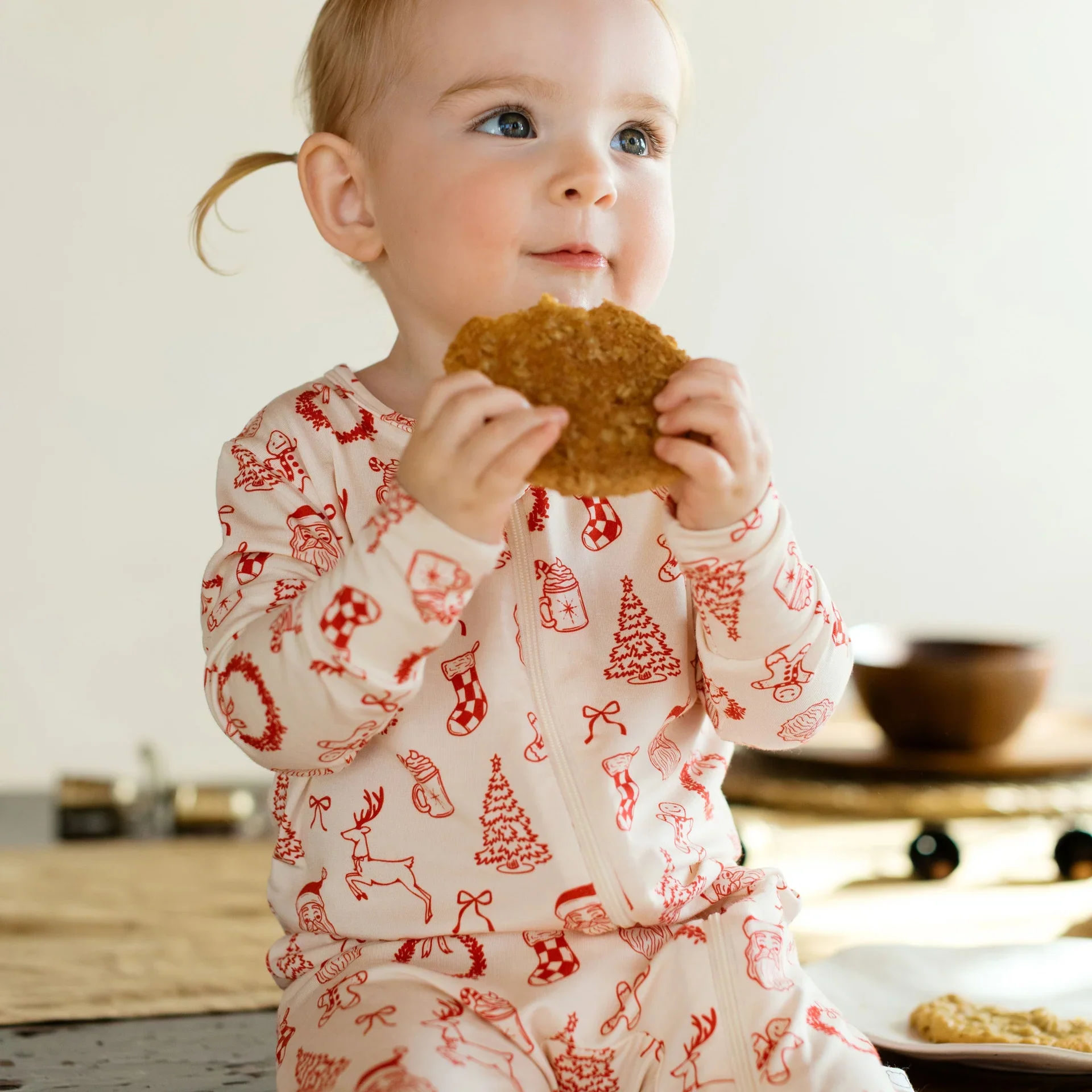 Classic Holiday Sleeper - Image 4